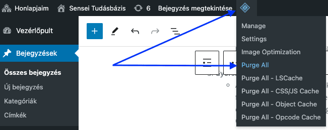 LiteSpeed Cache törlése - Purge All - Sensei